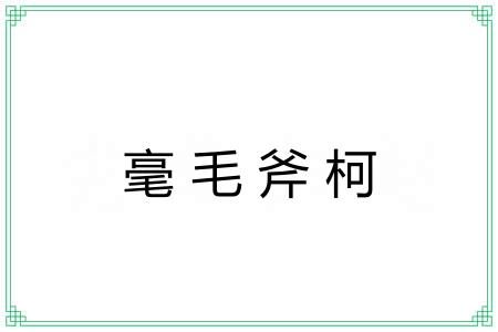 毫毛斧柯