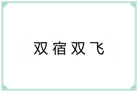 双宿双飞