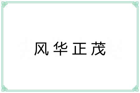 风华正茂 风华正茂